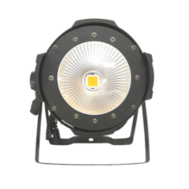 100W COB PAR LIGHT