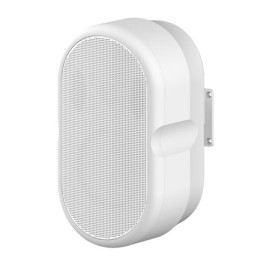 TS-605Y Conference Room Wall-mounted Speaker