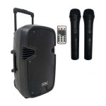 Portable 2-Way Active Speaker with Bluetooth and 2 Wireless Mic Capabilities