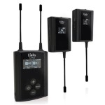 Dual Channel Wireless Microphone System