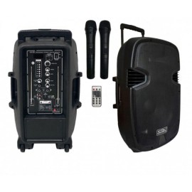 Portable 2-Way Active Speaker with Bluetooth and 2 Wireless Mic Capabilities